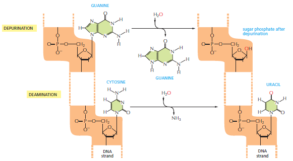 Figure 5-38.png